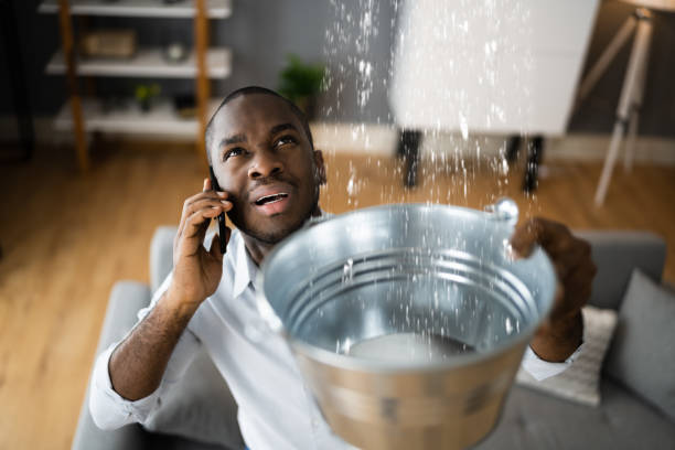 Water damage restoration experts in SC
