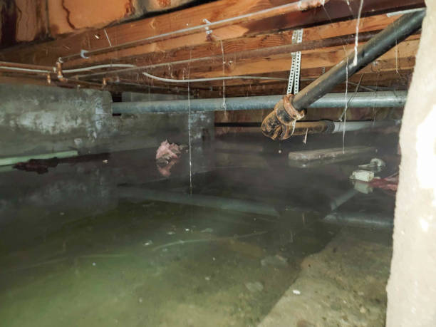 Best Water damage restoration services  in Pacolet, SC