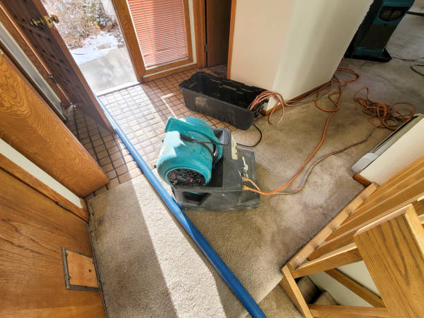 Best Water damage restoration near me  in Pacolet, SC