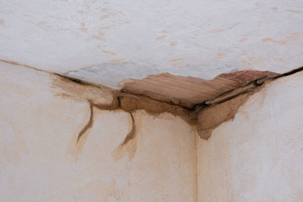 Best Flood restoration services  in Pacolet, SC
