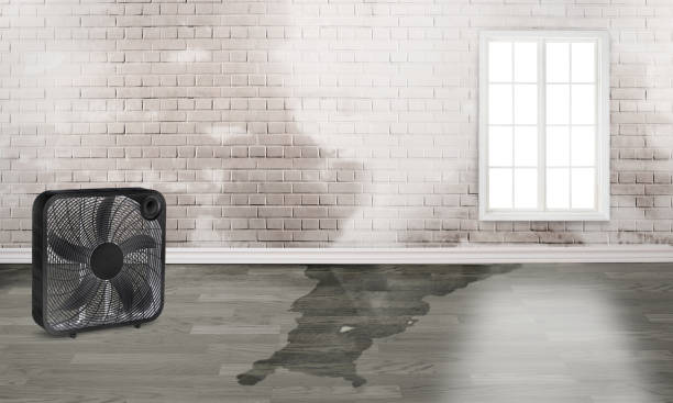 Best Water damage restoration services  in Pacolet, SC