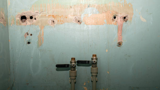Best Sewage cleanup and water damage restoration  in Pacolet, SC