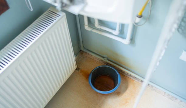 Best Water damage cleanup near me  in Pacolet, SC